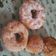 El cooksnap de Maria Miranda cuando hizo Rosquitas y bolitas de dulce de leche.