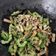 Cooksnap dari Lusy Siswati untuk resep Tumis Pare Teri (Booster ASI)