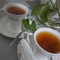 کوک اسنپ زهراگلی🎀 بعد از امتحان کردن 🍀دمنوش سیب و دارچین و عناب🍀.