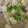 Cooksnap dari Yongki RS untuk resep Mun Tahu Simple