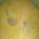 El cooksnap de Jorge luis Montalvan marquez cuando hizo Sopa de Patacones.