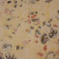 El cooksnap de Marisa Serrano cuando hizo Crema de camarones con hongos .