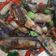 Cooksnap dari I_M_Li untuk resep Tumis TERONG EBI