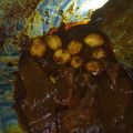 Cooksnap dari Rubi Rukhi untuk resep Rendang Daging Sapi Simple