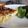 Cooksnap de Lo Reine sur la recette Tarte aux poireaux