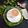 सोनल जयेश सुथार 's cooksnap of when they made હર્બલ ચા (Herbal Tea Recipe In Gujarati).