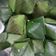 Cooksnap dari Mita Kurniawan untuk resep Kue Bugis / Mendut Tepung Ketan Isi Unti / Enten Kelapa
