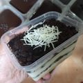 Cooksnap dari Sulis Wahyuni untuk resep Cheese Cake Lumer