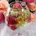 کوک اسنپ Roya بعد از امتحان کردن معجون مقوی خوشمزه.