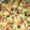El cooksnap de 95vanedg cuando hizo Pizza tropical con 5 quesos.