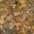 Cooksnap dari Mama Kayla untuk resep Ayam Lemang-lemang (Gulai Ayam)