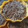 Cooksnap dari Syifa Fauziah untuk resep Martabak Mini Empuk