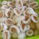 Cooksnap dari Devi setiowati untuk resep Asinan rambutan simple seger