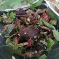 Cooksnap của Shi Hoàng khi họ làm theo món Ba khía trộn miền tây 😍😍😍