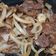 Cooksnap dari Nia Fujiwati untuk resep Beef Teriyaki sederhana