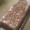 Cooksnap dari Betty Laure untuk resep Brownies Kukus Ny.Liem