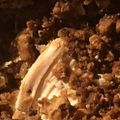 AlkcoHolickA's cooksnap of when they made 4 Ingredients Crock-Pot Chicken With Stuffing.