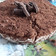 El cooksnap de liss 🧁 cuando hizo Cheesecake de oreo.
