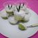 Cooksnap dari olive bunda qonita untuk resep Kue lumpur surga cup