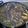 El cooksnap de Javier Moral Sanz cuando hizo Arroz negro con calamares y gambas.