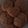 El cooksnap de CANDELA DI PAOLO cuando hizo Galletas de miel y canela fáciles y rápidas.