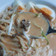 Cooksnap dari Fadil's Kitchen untuk resep Mie Celor Khas Palembang