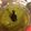 Joe Thorstensen's cooksnap of when they made Sofrito, Puerto Rican Pepper Sauce.