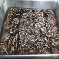 Cooksnap dari Whosy Whoreary untuk resep Brownies Kukus Putih Telur (Enak Moist)