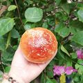 Cooksnap của Simon Pig khi họ làm theo món Hamburger Buns - Bánh Mì Hamburger