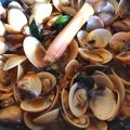 Cooksnap Cempaka Putih semasa beliau membuat LaLa Tumis Serai Berlado.