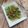 Cooksnap dari Farhah untuk resep Kapri ala Chinese Resto