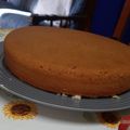 El cooksnap de Anabel Medeiros cuando hizo Bizcochuelo americano.