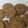 El cooksnap de cucatina cuando hizo Galletas de avena.