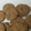 El cooksnap de cucatina cuando hizo Galletas de avena.