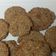 El cooksnap de cucatina cuando hizo Galletas de avena.