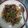 Cooksnap dari emilia untuk resep Tumis Ikan Asin Gabus Pedas w/ Petai