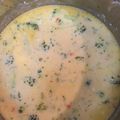 indy1's cooksnap of when they made Broccoli Cheddar Soup.