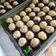 Cooksnap dari Nana Rahmadiana untuk resep Kue Tok / Kue Ku Bentuk Buah