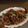 Cooksnap dari Farah Fadillah untuk resep Ayam Goreng Mentega