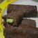 Cooksnap dari Dea Almi Suryani untuk resep Dadar Gulung Coklat isi Keju - DEBM | KETO Friendly