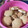 El cooksnap de Noely Rodriguez Lopez cuando hizo Galletitas de maicena, harina de trigo con sabor cítrico.