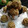 Sadhana Parihar's cooksnap of when they made Dates& Peanut Ladoos.