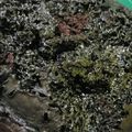 Cooksnap dari Hanifah Dwi Nuramaliah untuk resep Brownis kukus 3 sdm