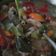 Cooksnap dari dapur_bu_ rara untuk resep Garang Asem Ayam