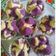 Cooksnap dari Doyan Makan untuk resep Bolu Kukus Mekar
