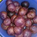 Cooksnap dari Purnama Dini Hari untuk resep Bola ubi ungu (cepet bikinnya, cepet juga abisnya) 😅