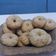 El cooksnap de Romina De Ruiz cuando hizo Rosquitas de anís.