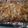 kelseycolson06's cooksnap of when they made My Baked Ziti.