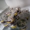 Cooksnap dari Bettriya untuk resep Brownies alpukat