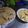 kelly 的 自製蛋餃 cooksnap